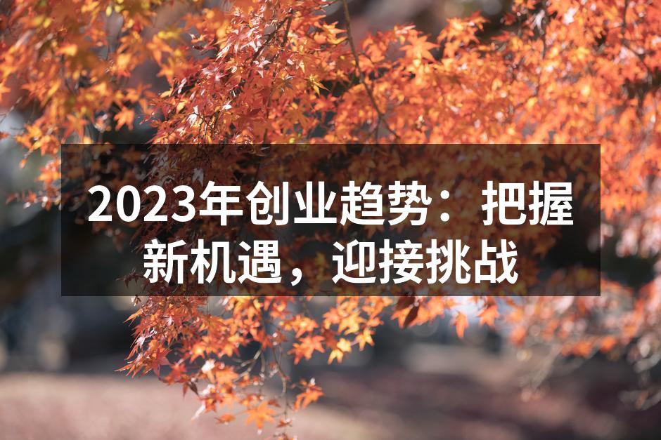 2023年创业趋势：把握新机遇，迎接挑战
