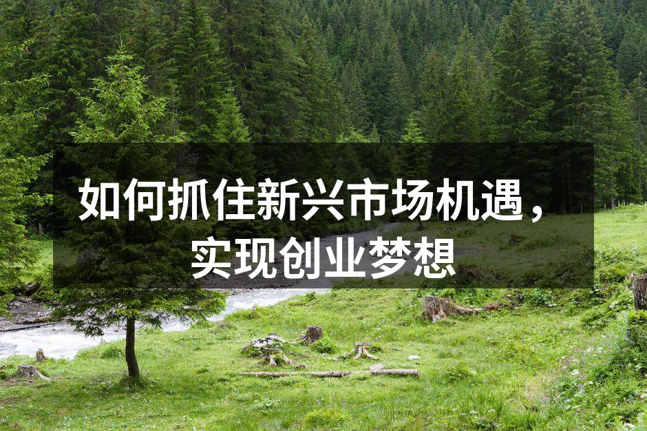 如何抓住新兴市场机遇，实现创业梦想