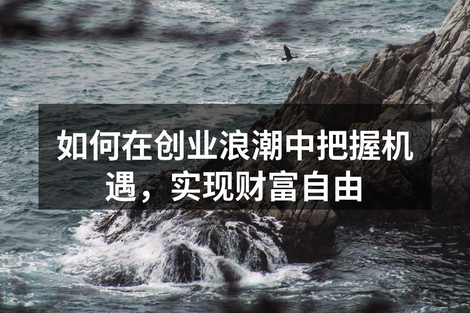 如何在创业浪潮中把握机遇，实现财富自由